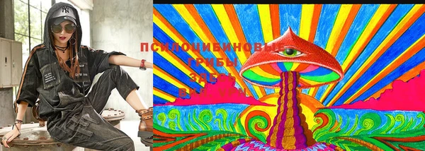 ПСИЛОЦИБИНОВЫЕ ГРИБЫ Бронницы