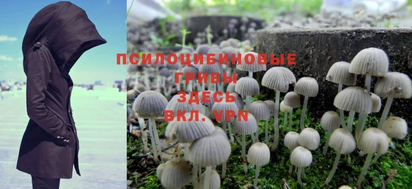 ПСИЛОЦИБИНОВЫЕ ГРИБЫ Бронницы