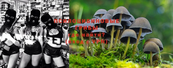 ПСИЛОЦИБИНОВЫЕ ГРИБЫ Бронницы