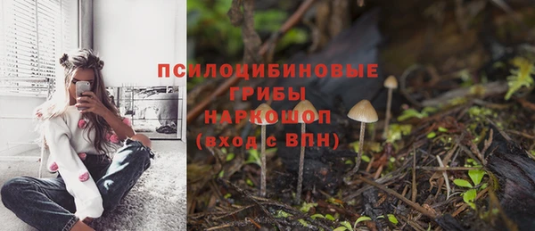 ПСИЛОЦИБИНОВЫЕ ГРИБЫ Бронницы