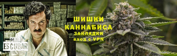 ПСИЛОЦИБИНОВЫЕ ГРИБЫ Бронницы