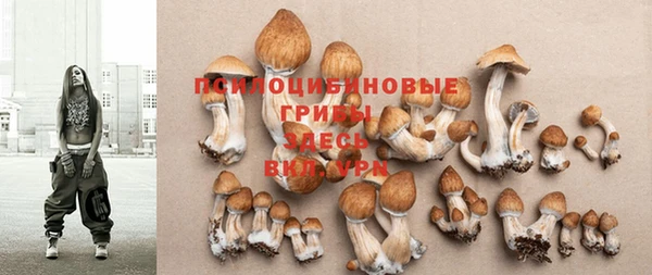 ПСИЛОЦИБИНОВЫЕ ГРИБЫ Бронницы