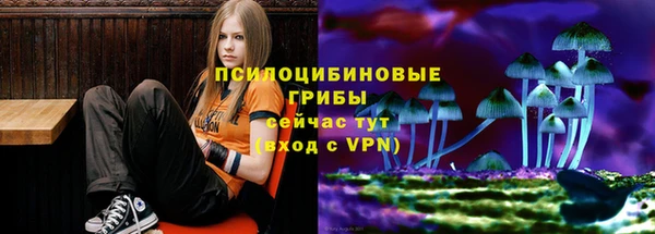 СК Бугульма